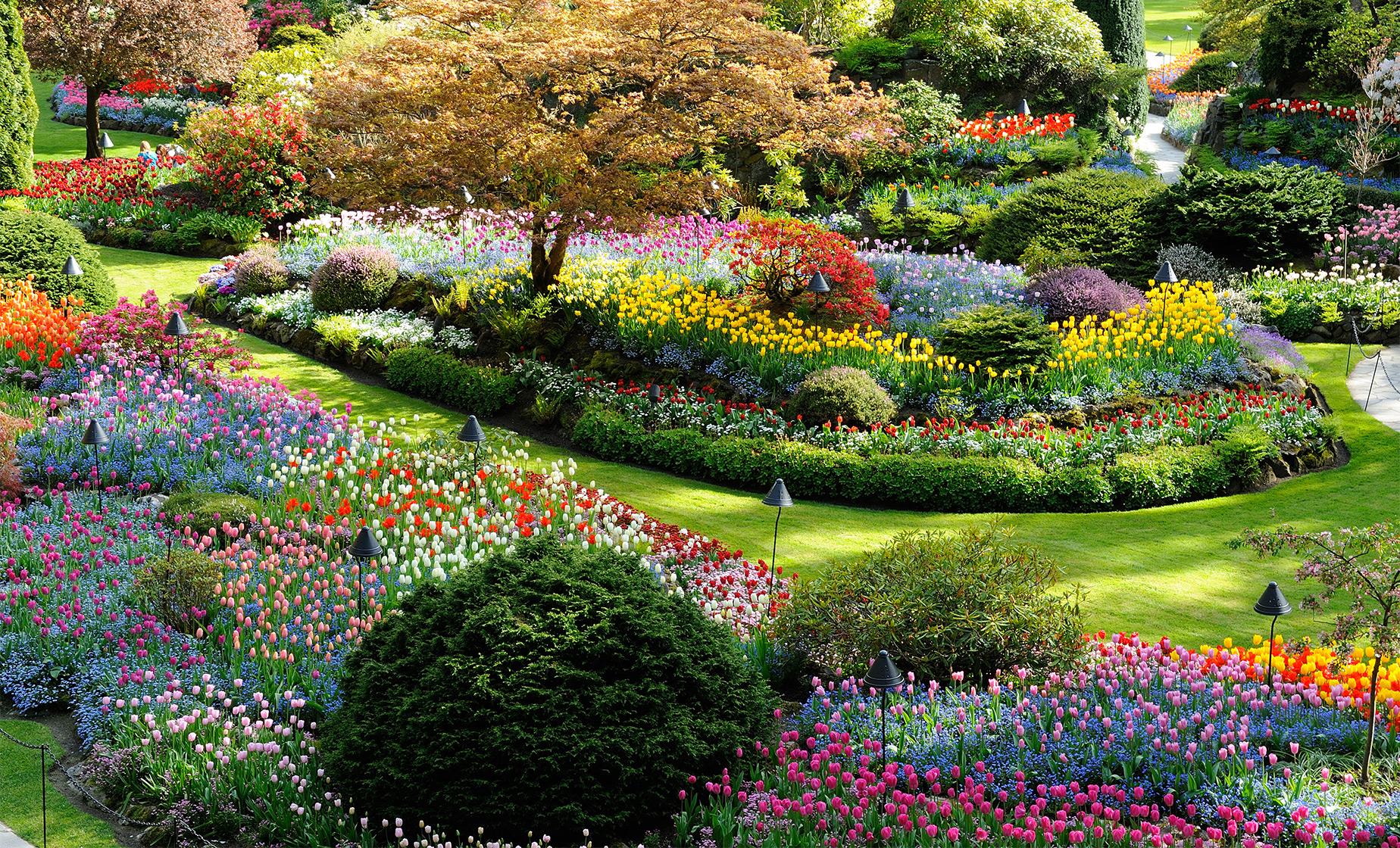 Colourful flower beds at Butchart Gardens, near Victoria