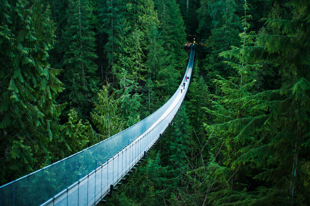 Capilano Suspension Bridge crossing the canyon between tall evergreen trees